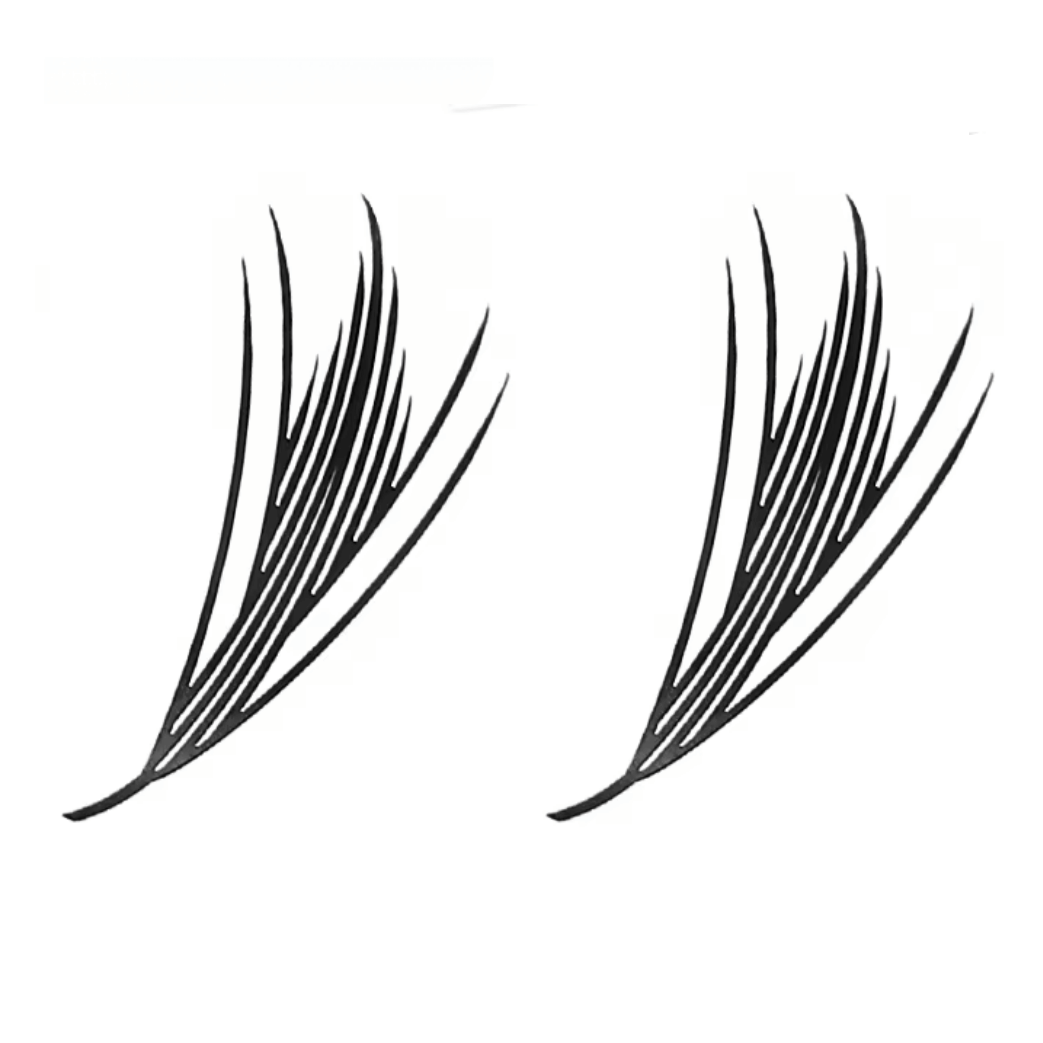 Anime Lashes Wispy Spike