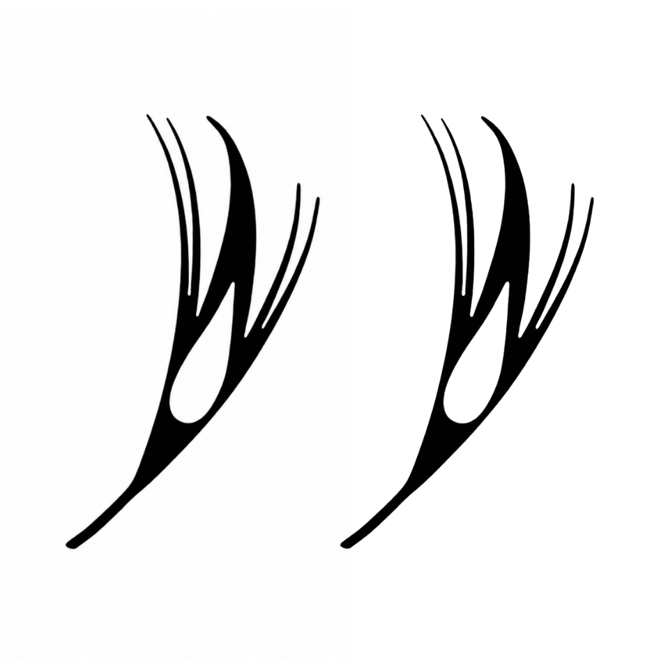 Anime Lashes Manga